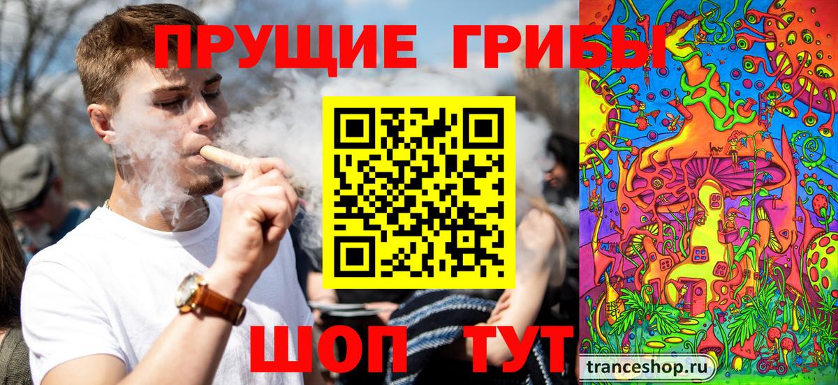 Псилоцибиновые грибы мицелий Россия