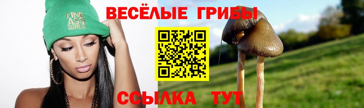 Россия  Псилоцибиновые грибы MAGIC MUSHROOMS  Псилоцибиновые грибы ЛСД  Вход с VPN 